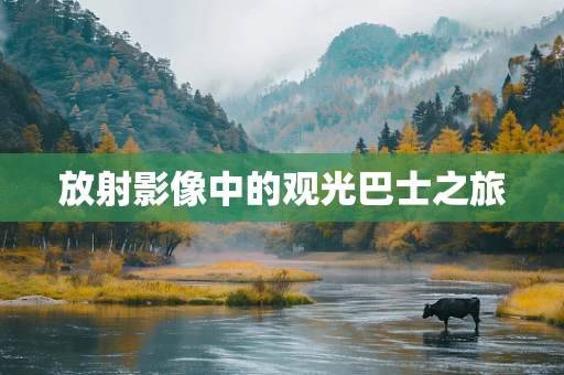 放射影像中的观光巴士之旅