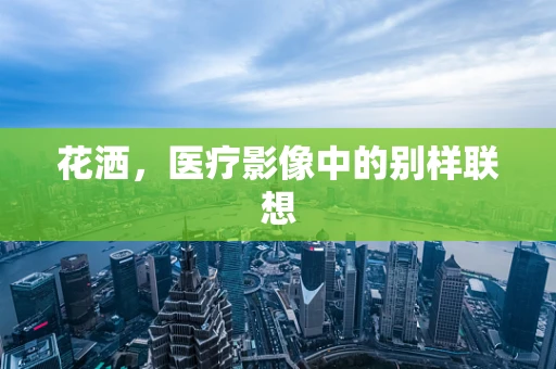 花洒，医疗影像中的别样联想