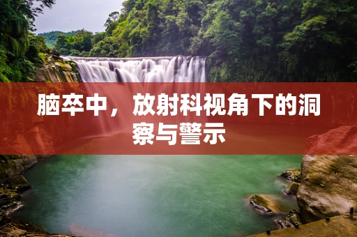 脑卒中，放射科视角下的洞察与警示