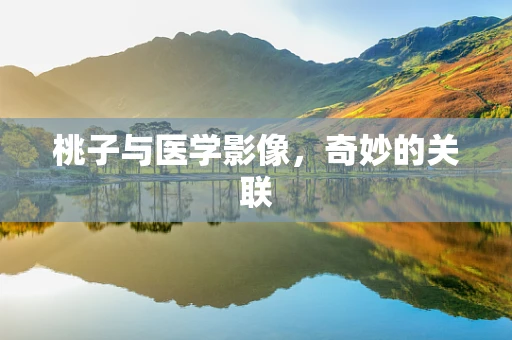桃子与医学影像，奇妙的关联