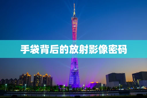 手袋背后的放射影像密码